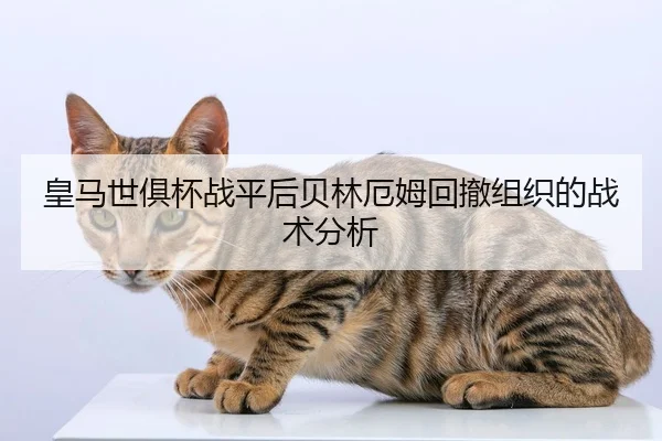 皇马世俱杯战平后贝林厄姆回撤组织的战术分析
