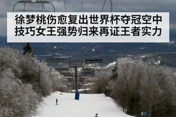 徐梦桃伤愈复出世界杯夺冠空中技巧女王强势归来再证王者实力
